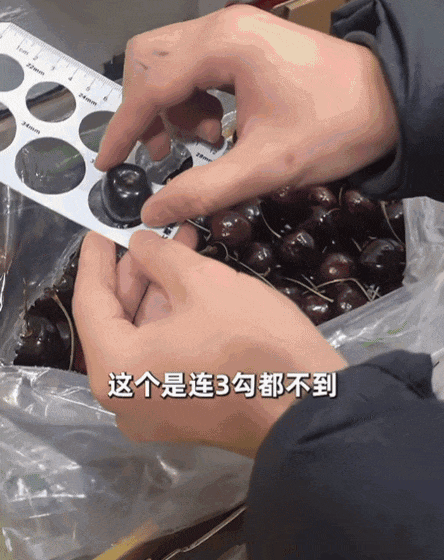 吃的老水果去哪儿了?pg模拟器便宜又好(图6) 吃的老水果去哪儿了?pg模拟器便宜又好(图6)