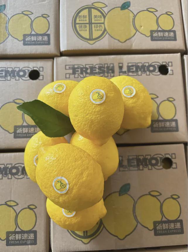 吃的老水果去哪儿了?pg模拟器便宜又好(图14) 吃的老水果去哪儿了?pg模拟器便宜又好(图14)